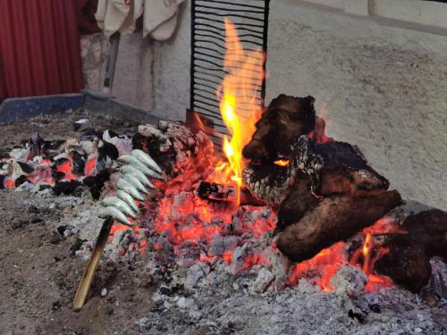 Cortijo el Abejaruco