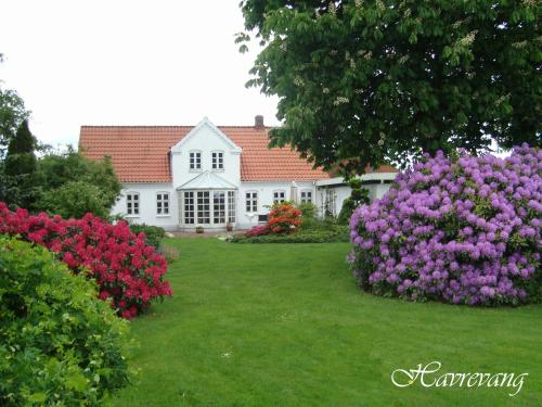 Havrevang 2