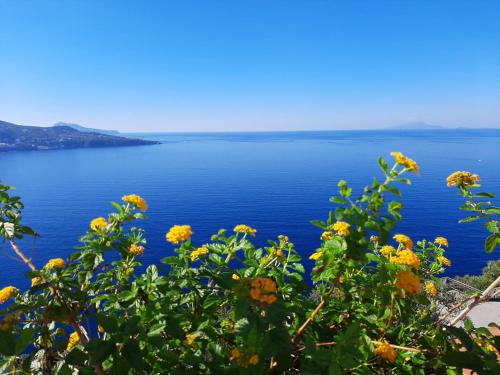 Bella Vista House-Sorrento coast - free parking-solarium