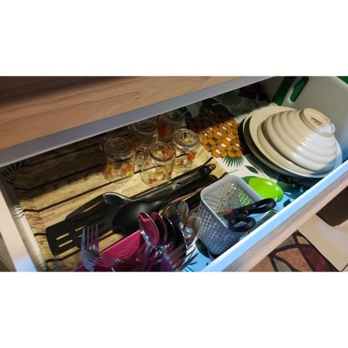 Nins Evo Studio - image 13