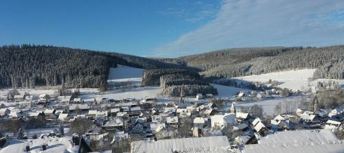 Pension Altenbeck & Ferienwohnung in Winterberg