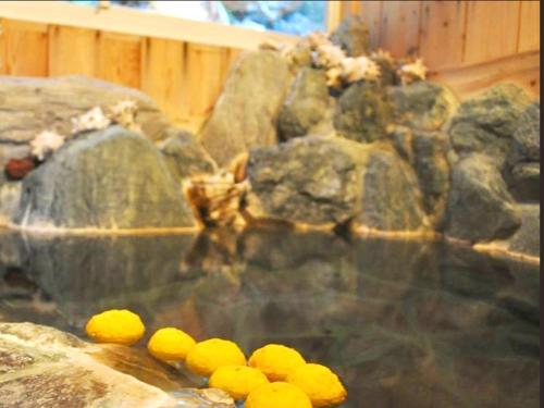 Kamo-gun - Hotel / Vacation STAY 50720