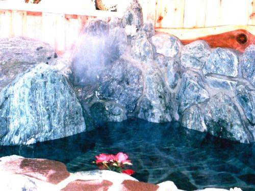 Kamo-gun - Hotel / Vacation STAY 41217