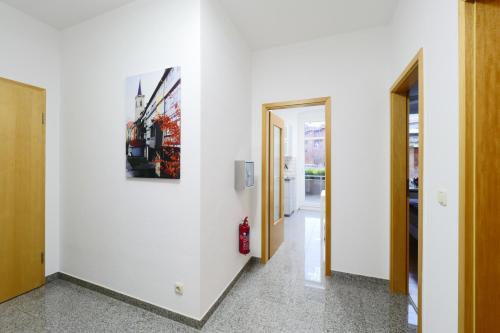 Wohnung mit Blick auf die Zitadelle Petersberg - 3 Zimmer Wohnung mit Blick auf die Zitadelle Petersberg - 3 Zimmer