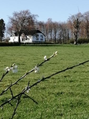  B&B V.K. PGmbH, Pension in Sankt Vith bei Oberlascheid