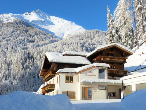 Haus Dabaklamm, Kals am Großglockner