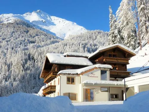 Haus Dabaklamm in Kals am Großglockner, Österreich