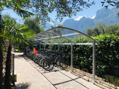 Villa Franca - image 5