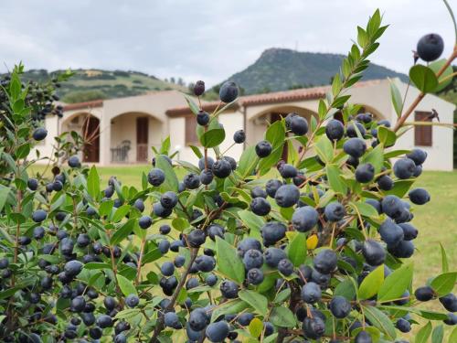 La Casa di Spinosella Agriturismo 