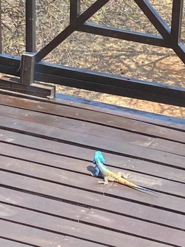 Luna rossa 19 Zebula golf course and spa resort