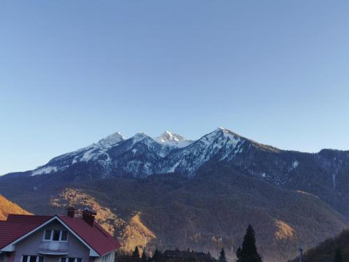 Apart Hotel Mountain View - image 7