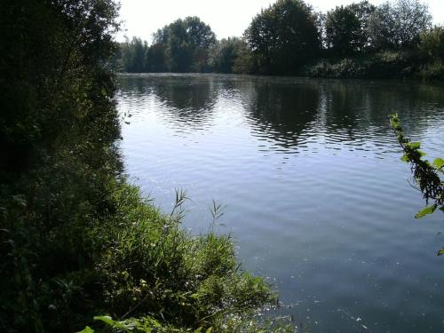 Leisewitz' Garten - image 7