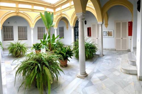  GATU Villa Palma, aire acc y confort en el centro histórico Sólo familias o grupos de mayores de 25 años in El Puerto de Santa María