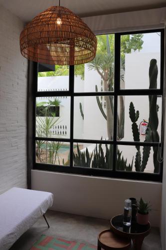 278305319 Residencia Tropical Don Bonito
