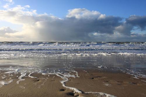 Beach, Hoogland aan Zee in Egmond aan Zee