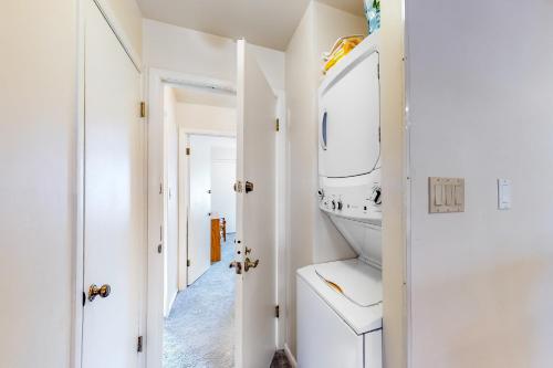 Lionshead Luxury - image 2