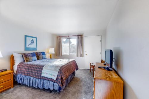 Lionshead Luxury - image 8