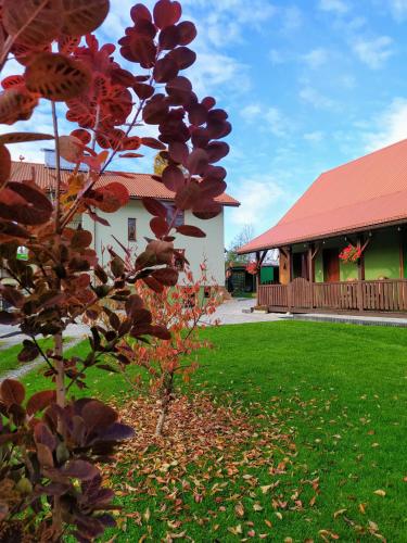 Pod Modrzewiami Pod Modrzewiami