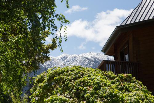 Alpine Lodge Motel in Hanmer Springs