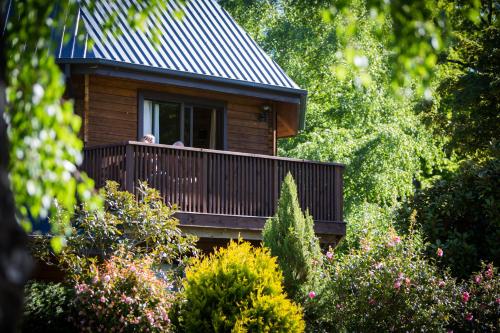 Alpine Lodge Motel in Hanmer Springs