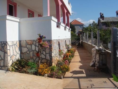 Apartments Trsteno - image 7