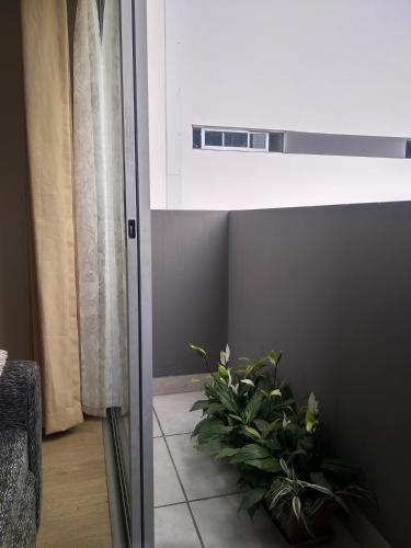 Departamento en Miraflores con Surquillo