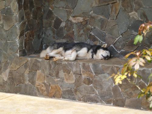 Casa Amanecer Bed and Breakfast