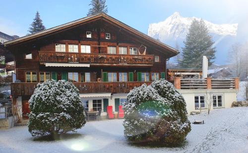 Guggerzyt - Apartment - Grindelwald