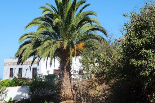 One bedroom appartement with furnished terrace and wifi at Los Silos 5 km away from the beach