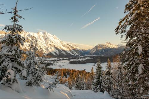 Заобикаляща среда, das Valdo in Seefeld