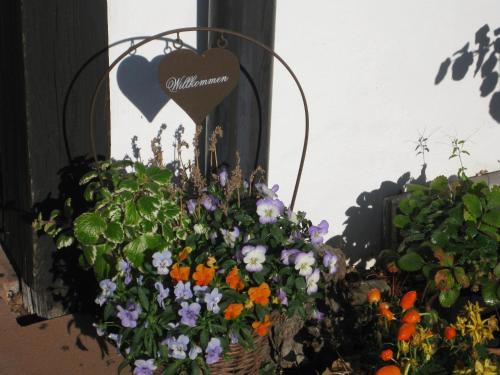 Dreikausens Landgasthaus Wildhof
