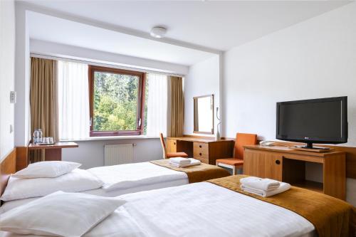Interferie Sport Hotel Bornit, Szklarska Poręba (foto 3)