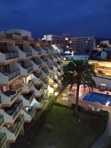 Apartamentos Australia - image 10