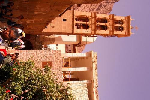 Sheikh Mousa Bedouin Camp