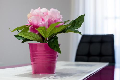 Apartamentos Villa Zoila - image 4