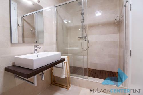 Malaga Center Flat Luxury, Málaga (fotografie 8)