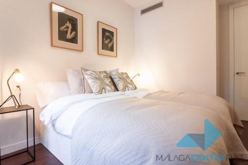 Malaga Center Flat Luxury, Málaga (fotografie 10)