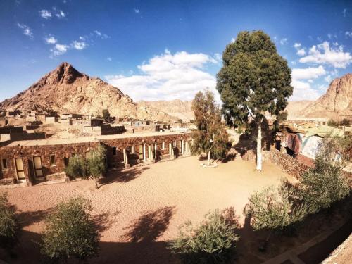 Sheikh Mousa Bedouin Camp