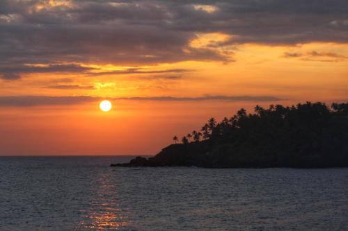 The Nest in Tangalle