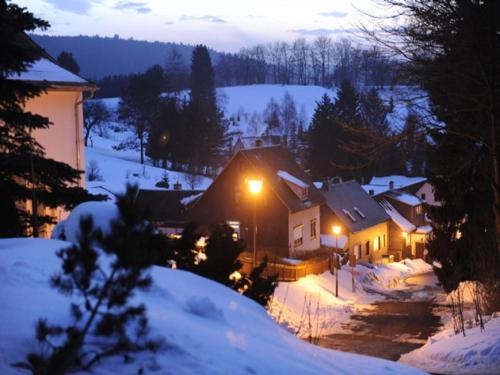 Pension Waldidyll in Stützerbach, Deutschland