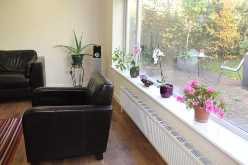 The Dial House Guest House - image 3