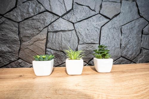 . NEW Apartament GREEN Warszawa PARKING Free