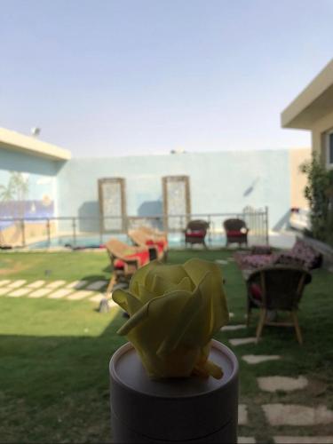 White Rose Resort شاليهات وايت روز
