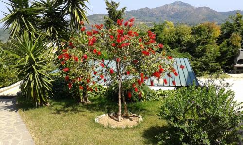 Apartment in villa 2 to 3 persons with large private garden