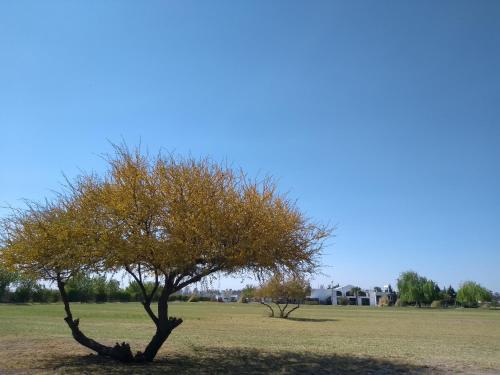 Cabañas Plaza Norte