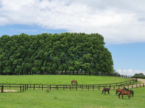 Invermooi Estate