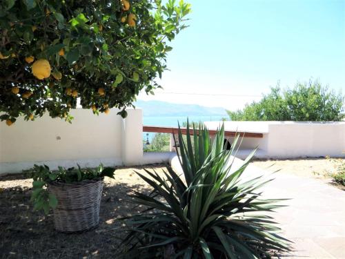 Case Mare - terrazzi panoramici e ampio giardino - image 3