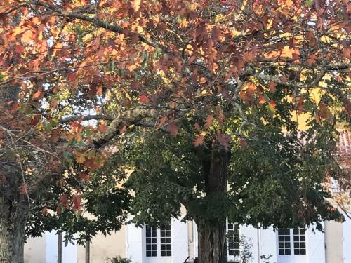 photo chambre Chambres d'hotes du bocage