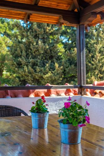 Georgalas Sun Beach Resort - image 11