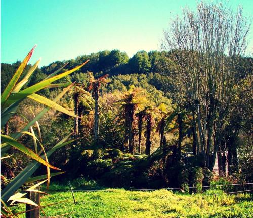 Manzara, Brunnerton Lodge and Backpackers in Greymouth